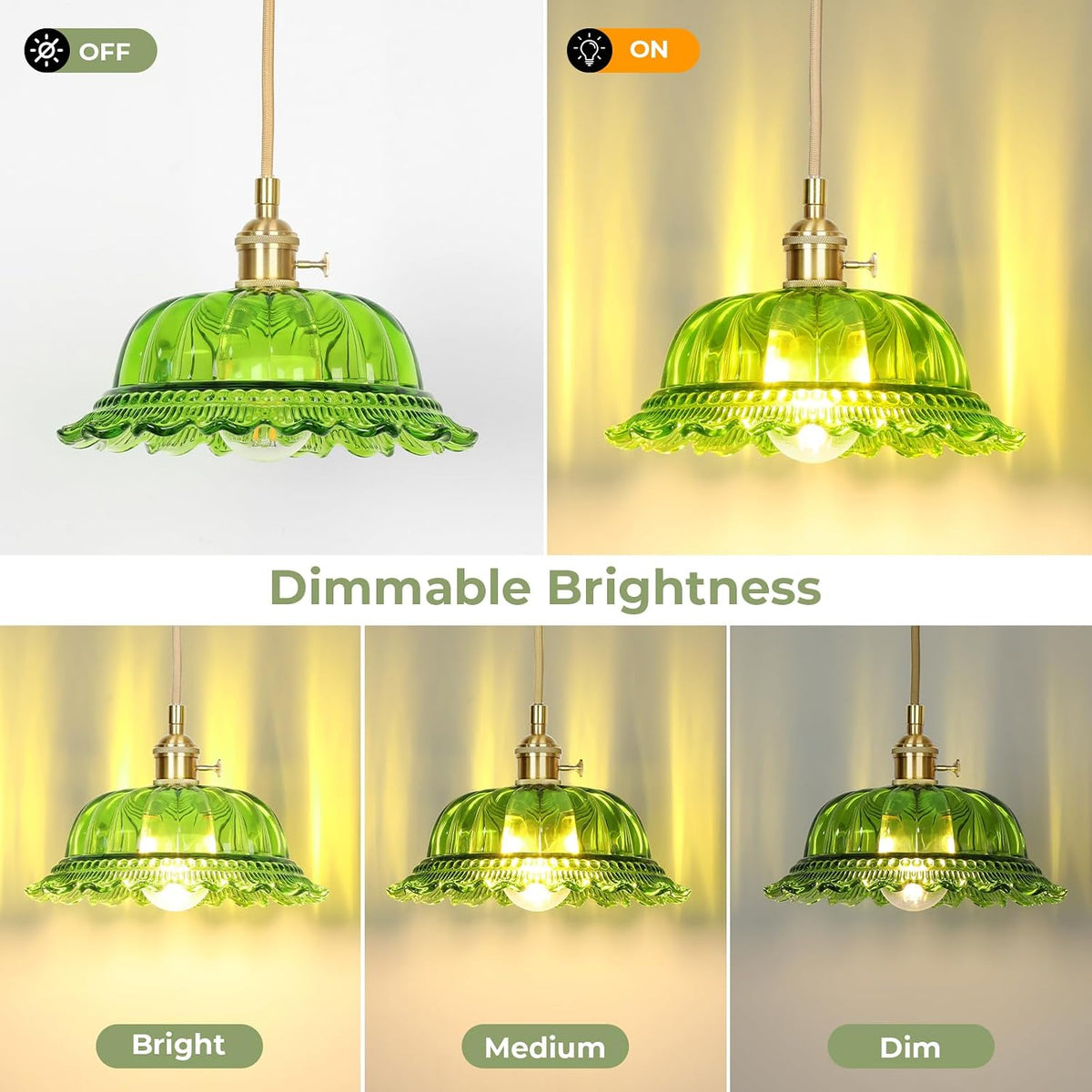 Hanging Lamp Plug in Pendant Light
