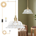 Hanging Lamp Plug in Pendant Light